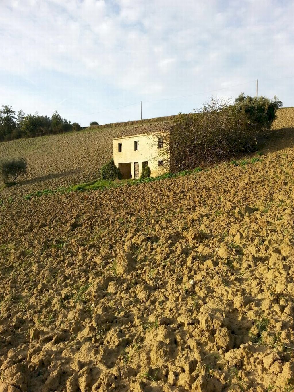 Foto 3 - Rustic Montelparo - photo 3