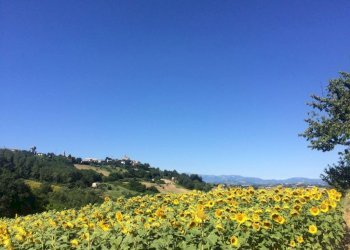 Foto 1 - Rustico Montelparo - foto 1