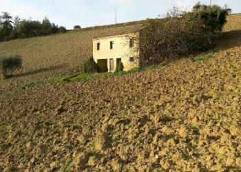 Foto 3 - Rustico Montelparo - foto 3