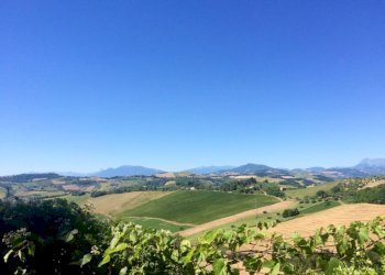 Foto 4 - Rustico Montelparo - foto 4