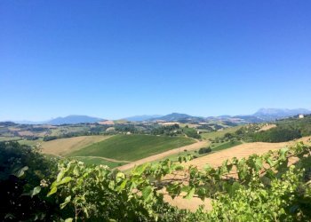 Foto 5 - Rustico Montelparo - foto 5