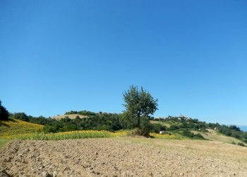 Foto 8 - Rustico Montelparo - foto 8