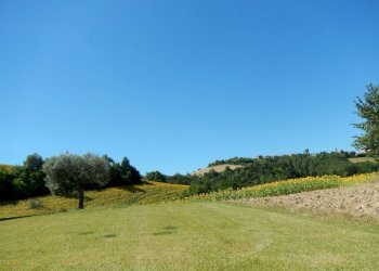 Foto 10 - Rustico Montelparo - foto 10