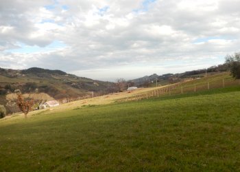 Foto 6 - Rustico Monteprandone, contrada Fonte Vecchia, Monteprandone - foto 6