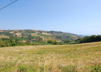 Foto 7 - Rustico Monteprandone, contrada Fonte Vecchia, Monteprandone - foto 7