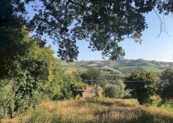 Foto 20 - Rustico Monteprandone, contrada Fonte Vecchia, Monteprandone - foto 15