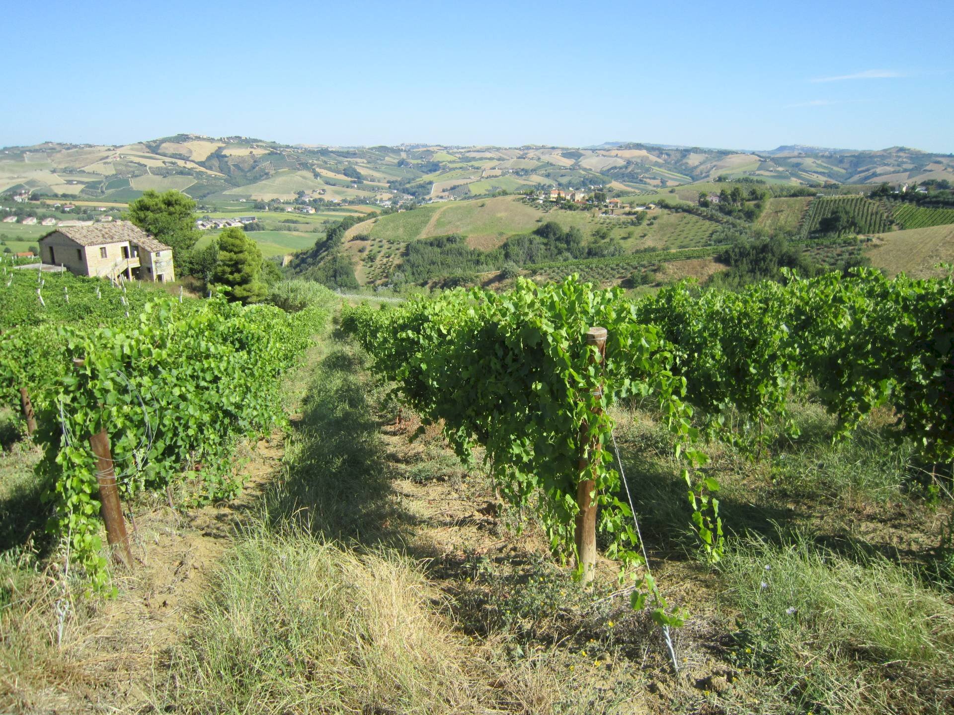 Foto 1 - Rustico Borgo Miriam, Offida - foto 1