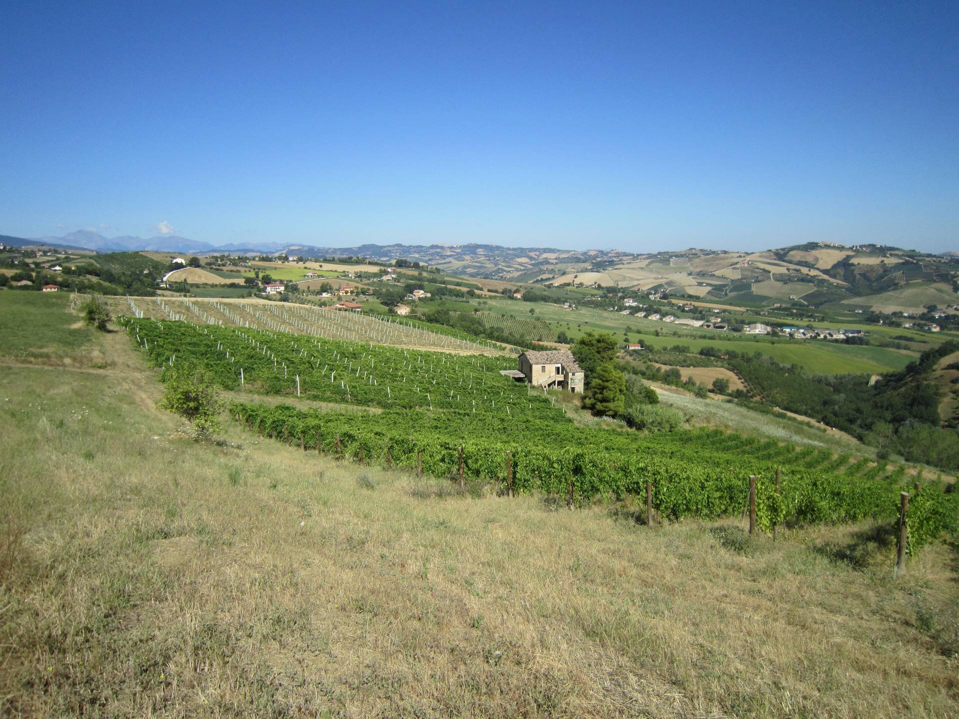 Foto 2 - Rustico Borgo Miriam, Offida - foto 2