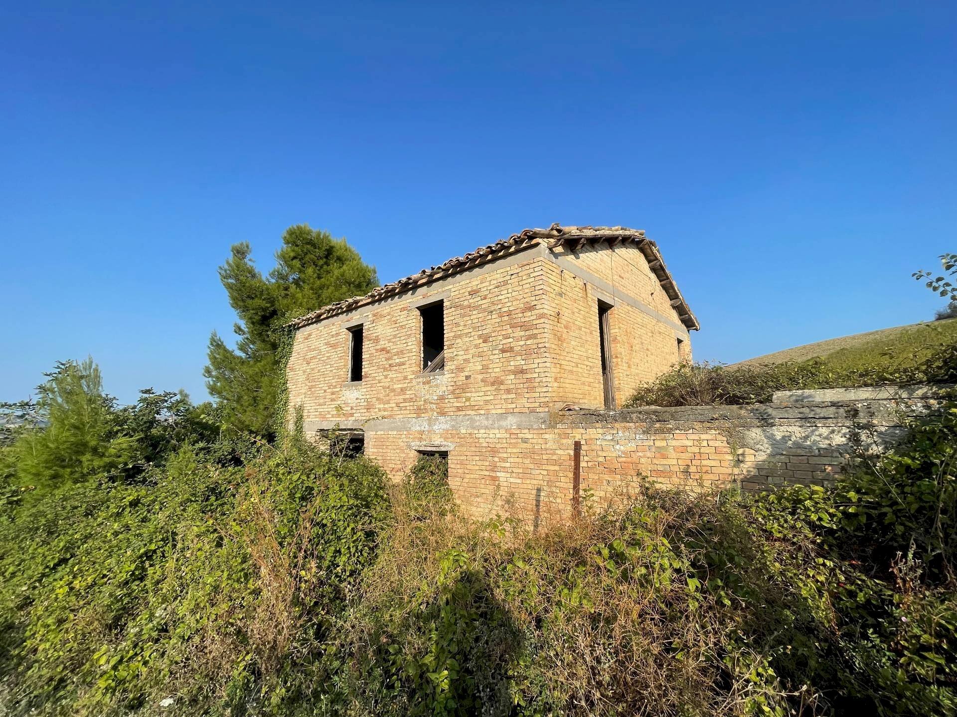 Foto 3 - Rustic Borgo Miriam, Offida - photo 3