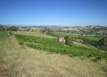 Foto 2 - Rustic Borgo Miriam, Offida - photo 2