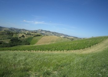 Foto 4 - Rustic Borgo Miriam, Offida - photo 4