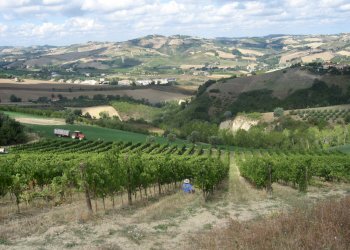 Foto 5 - Rustic Borgo Miriam, Offida - photo 5