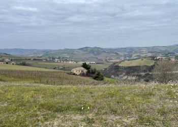 Foto 6 - Rustic Borgo Miriam, Offida - photo 6