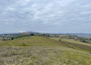 Foto 7 - Rustic Borgo Miriam, Offida - photo 7