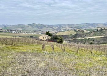 Foto 8 - Rustic Borgo Miriam, Offida - photo 8