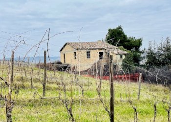 Foto 9 - Rustic Borgo Miriam, Offida - photo 9