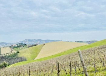 Foto 10 - Rustic Borgo Miriam, Offida - photo 10