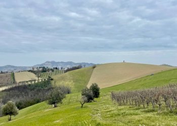 Foto 11 - Rustic Borgo Miriam, Offida - photo 11