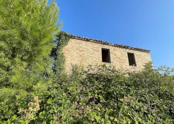 Foto 4 - Rustic Borgo Miriam, Offida - photo 4
