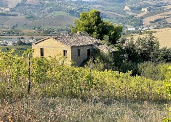 Foto 19 - Rustic Borgo Miriam, Offida - photo 19