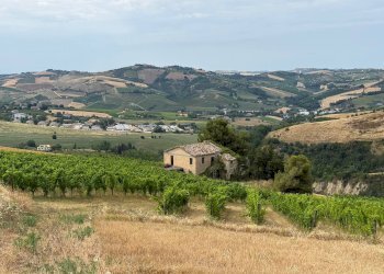 Foto 1 - Rustic Borgo Miriam, Offida - photo 1
