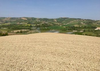 Foto 6 - Rustico Montalto delle Marche, contrada San Lorenzo, Montalto delle Marche - foto 5