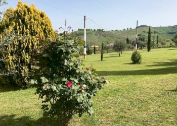 Foto 9 - Rustico Montalto delle Marche, contrada San Lorenzo, Montalto delle Marche - foto 8