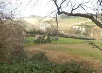 Foto 6 - Rustico Contrada Fonte Vecchia, Monteprandone - foto 6