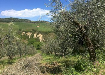 Foto 7 - Rustico Contrada Fonte Vecchia, Monteprandone - foto 7