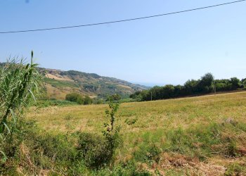 Foto 13 - Rustico Contrada Fonte Vecchia, Monteprandone - foto 13