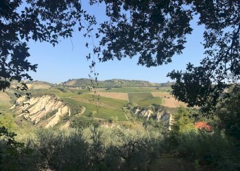 Foto 16 - Rustico Contrada Fonte Vecchia, Monteprandone - foto 16