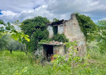 Foto 18 - Rustico Contrada Fonte Vecchia, Monteprandone - foto 18