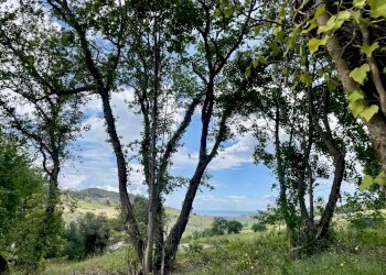 Foto 19 - Rustico Contrada Fonte Vecchia, Monteprandone - foto 19