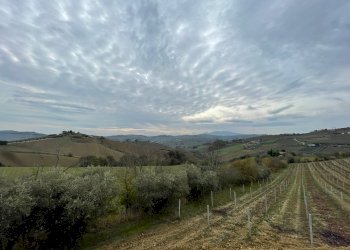 Foto 4 - Rustic Cossignano - photo 4