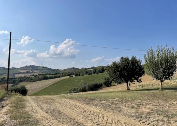 Foto 17 - Rustic Cossignano - photo 17