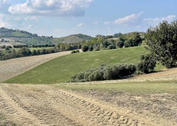 Foto 18 - Rustic Cossignano - photo 18