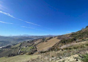 Foto 13 - Rustico Contrada Penne, Ripatransone - foto 13