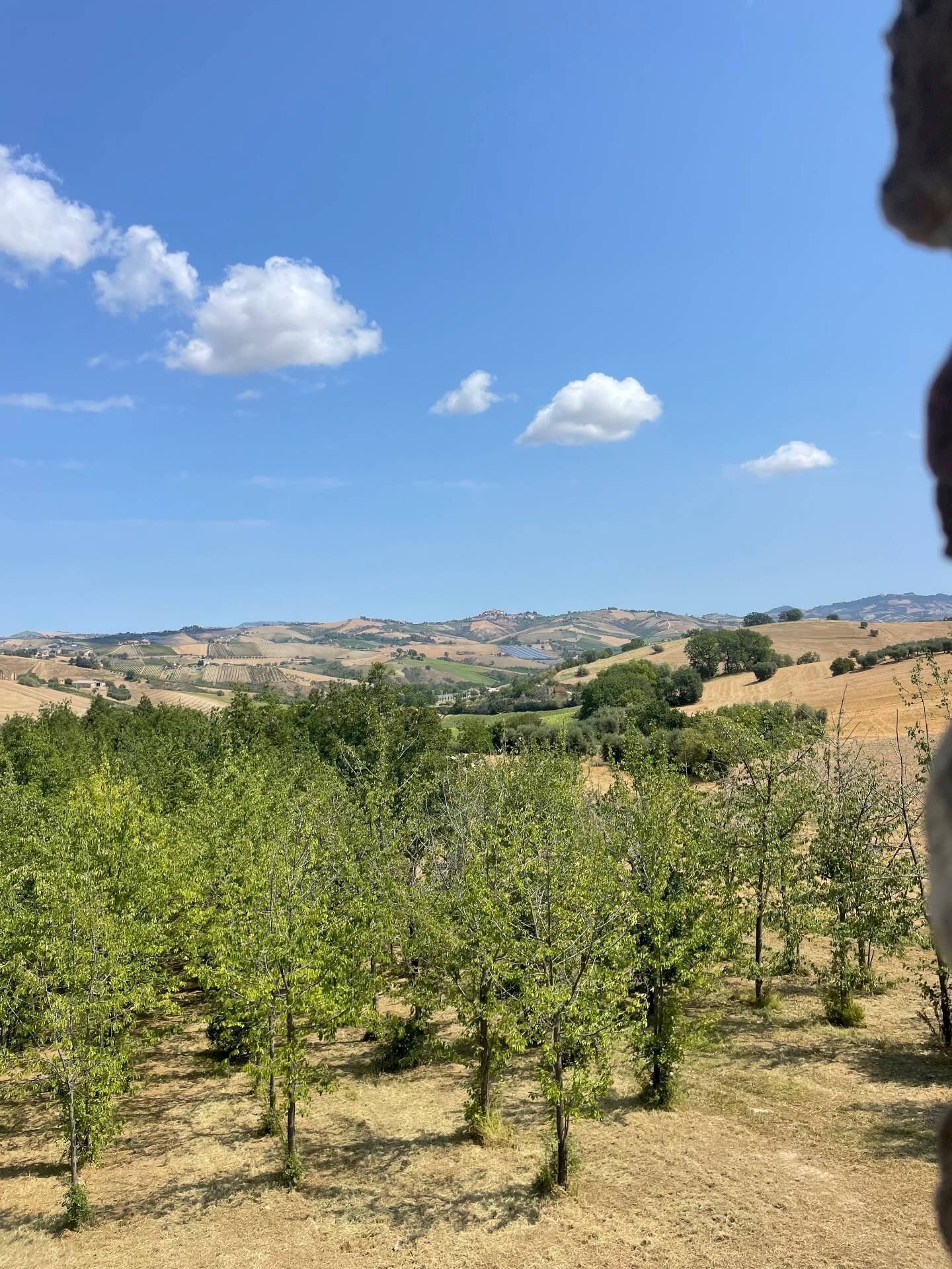 Foto 2 - Rustico Castignano - foto 2