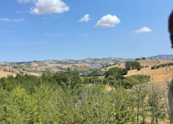 Foto 2 - Rustico Castignano - foto 2