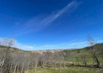 Foto 10 - Rustico Castignano - foto 10