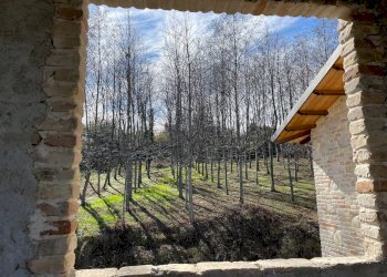 Foto 13 - Rustico Castignano - foto 13