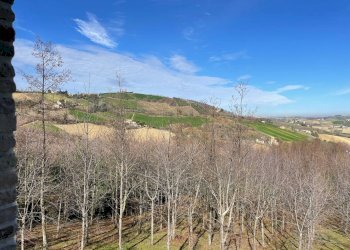 Foto 16 - Rustico Castignano - foto 16