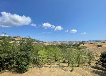 Foto 20 - Rustico Castignano - foto 20