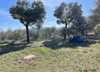 Foto 30 - Villa Contrada San Donato, Monteprandone - foto 30