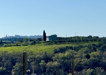 Foto 2 - Rustico Quercia Ferrata, Ripatransone - foto 2