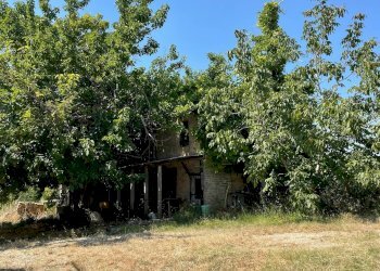 Foto 11 - Rustico Quercia Ferrata, Ripatransone - foto 11