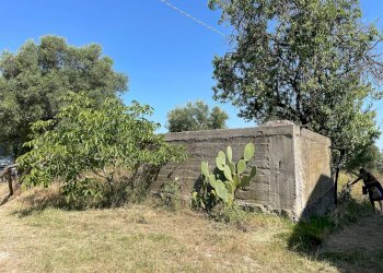 Foto 12 - Rustico Quercia Ferrata, Ripatransone - foto 12