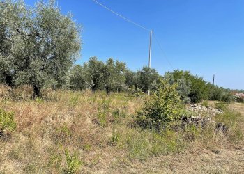 Foto 13 - Rustico Quercia Ferrata, Ripatransone - foto 13