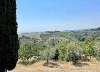 Foto 15 - Rustico Quercia Ferrata, Ripatransone - foto 15