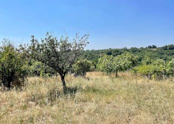 Foto 21 - Rustico Quercia Ferrata, Ripatransone - foto 21
